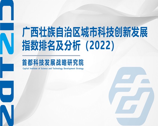 一起草肥婆【成果发布】广西壮族自治区城市科技创新发展指数排名及分析（2022）